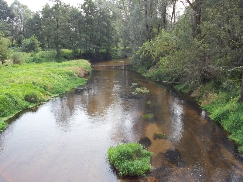 7.Największe rozczarowanie to Grabia.jpg