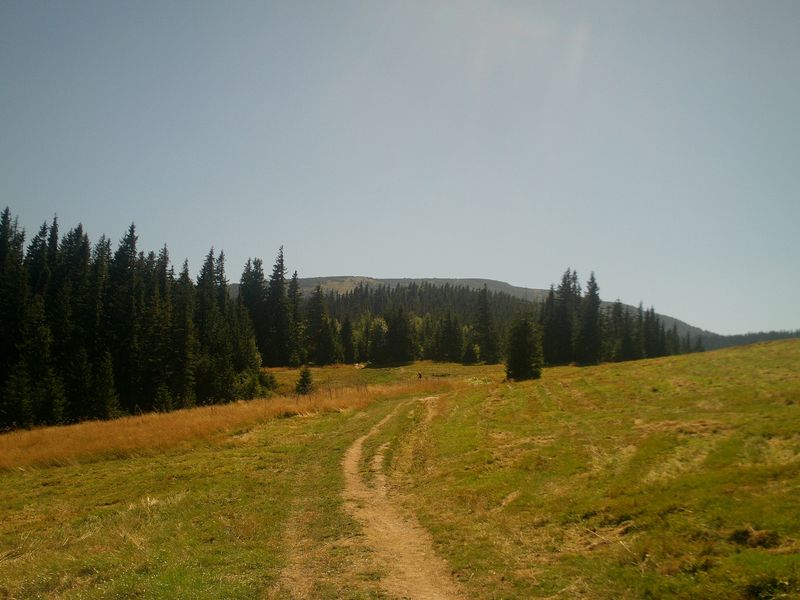 6. Hala Jodłowcowa i widok na Pilsko.jpg