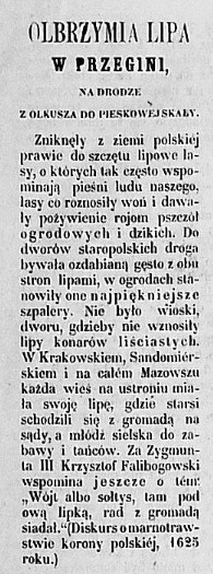 lipa w Przegini, 1862 r., cz.1.jpg
