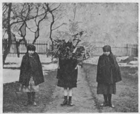 Dziewczęta z gaikiem, wieś Pabjanice-Brus, pow.Częstochowa, 6 kwietnia 1929 r..jpg