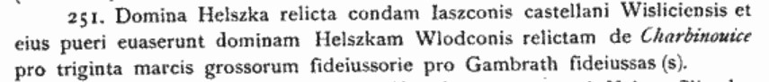 Domina Helszka Wlodconis relictam de Charbinovice, 1399 r., Archiwum Komisji Prawniczej t.8, cz.1.jpg