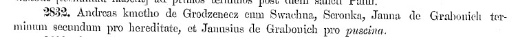 Andreas kmetho de Grodzenecz, 1384, SPPP 8 cz.1.jpg