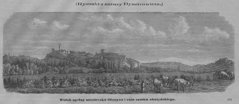 Widok ogólny Olsztyna, T.I., 347, 1874 r._Easy-Resize.com.jpg