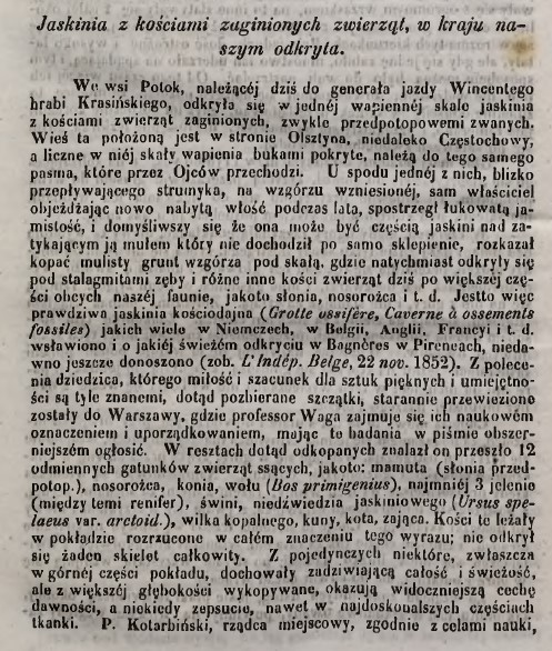 jaskinia z kośćmi zwierząt, Bibl. Warsz. 1853, cz.1.jpg