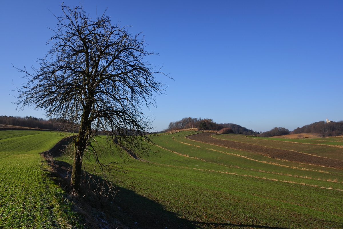 Dolina Wodąca